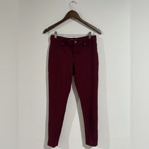 Burgundy Calvin Pants